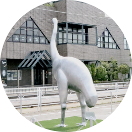 我孫子鳥の博物館